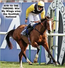  ?? ?? AYR TO THE THRONE: Win My Wings wins the Scottish
National