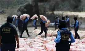  ?? Photograph: Orlando Sierra/AFP/Getty Images ?? Members of the Honduras anti-narcotics police incinerate 8,447kg of cocaine in Tegucigalp­a in March.