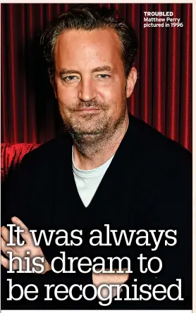  ?? ?? TROUBLED Matthew Perry pictured in 1996