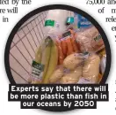  ??  ?? Experts say that there will be more plastic than fish in our oceans by 2050