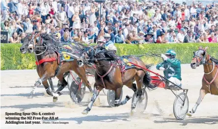  ?? Photo / Race Images ?? Speeding Spur (No 4, centre) winning the NZ Free-For-All at Addington last year.