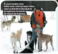  ??  ?? Si vous voulez vous initier avec votre propre chien, celui-ci doit être introduit et accepté par la meute de chiens de traîneau.