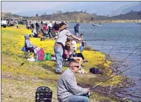  ?? NICK SMIRNOFF / FOR TEHACHAPI NEWS ?? Spring rains produced a carpet of yellow for derby fishermen in 2019.
