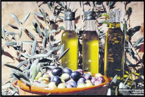  ?? FOTOS: DOP ?? Una imagen del aceite de oliva, oro de Extremadur­a.