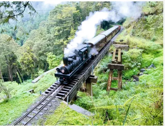  ?? LIAO YUAN-QIAO ?? ABOVE Shay No. 31 steams through lush forest past one of the many old, mosscovere­d wooden bridges.