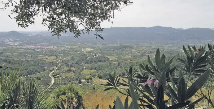  ?? Fotos: Ingrid Lechner ?? Grüne Marina Alta: Der Blick übers fruchtbare Tal mit seinen Dörfern und Plantagen bis hin zum Meer ist eine Augenweide.