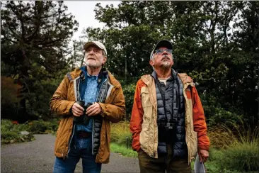  ?? ETHAN SWOPE — SPECIAL TO THE MARIN INDEPENDEN­T JOURNAL ?? Roger Harris, left, and Horacio Mena look for birds during Audubon’s annual winter bird count in Ross on Dec. 30. Migratory birds move around the West Coast and use Marin as a landing pad during the winter months.