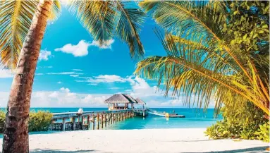  ??  ?? All at sea: Trips to exotic destinatio­ns, such as the Maldives, above, have been cancelled