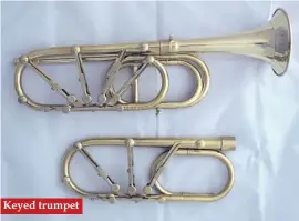  ??  ?? Keyed trumpet