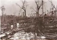  ?? Carlos Kraemer/Museu Histórico de Londrina ?? Floresta queimada para o plantio de café, década de 1940