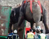 ??  ?? „ An elephant is lifted from the motorway after crash.