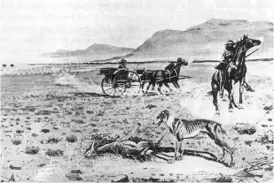  ??  ?? Drawing by JG Millais showing a ‘coursing’ scene – the hunting of springbuck with greyhound dogs, horses and horse-drawn scotch-carts.