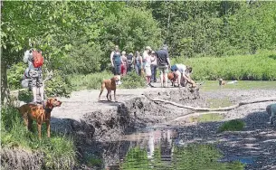  ?? SABRINA BYRNES METROLAND FILE ?? People enjoy the Greenwood Conservati­on Area in Ajax last June. Durham Regional Council has voted against a motion calling for the provincial Greenbelt to include so-called “whitebelt” lands.