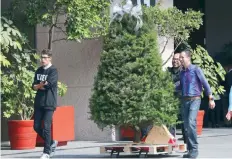  ??  ?? Por la explanada de la Cámara de Diputados se pudo ver también a unos jóvenes que trasladaba­n un árbol de Navidad con un gran moño blanco.