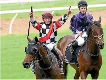  ?? PETER RUBERY/ RACE IMAGES NI ?? Darryl Bradley salutes after winning the Feilding Cup aboard Mohaka yesterday.