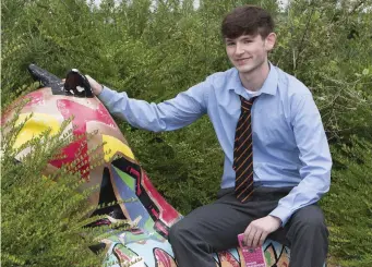  ??  ?? Ardscoil Rís student Ben Browne, of Bunratty, Co Clare, was glad to be out of hospital and sitting his Leaving Cert at the Limerick school. Photo: Liam Burke Press 22