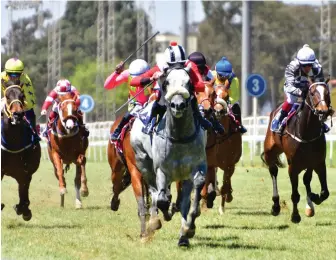  ?? Picture: JC Photograph­ics ?? STANDOUT. Barbaresco is extremely well handicappe­d and looks hard to oppose in Race 7 at Turffontei­n today.