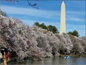  ?? JOSE LUIS MAGANA — THE ASSOCIATED PRESS FILE ?? People walk along the Tidal Basin, visiting the cherry blossoms in Washington.