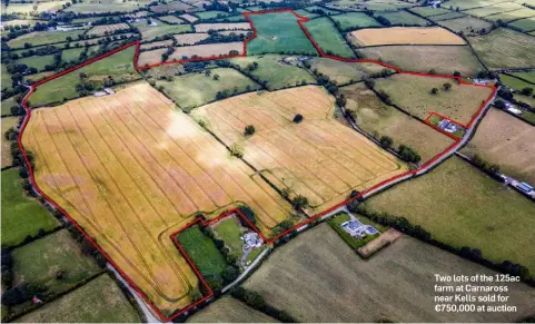  ??  ?? Two lots of the 125ac farm at Carnaross near Kells sold for €750,000 at auction