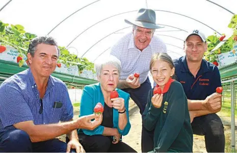  ?? PHOTO: MATTHEW PURCELL ?? BOUNCING BACK: Luigi Coco, president of the QSGA, Southern Downs Mayor Tracy Dobie, Queensland's Minister for Agricultur­e Mark Furner with Eastern Colour's Amelie Gesch and Nathan Baronio.