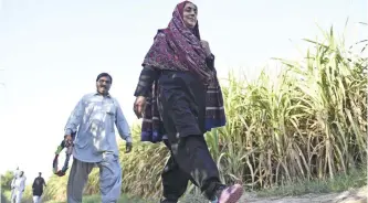  ?? — AFP photos ?? This photograph taken on September 27, 2017, shows Pakistani woman Mukhtiar Naz (R), known as Waderi Nazo Dharejo, walking her guard at her agricultur­e field in Qazi Ahmed in Sindh province.