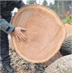  ?? FOTO: DPA ?? Die Holzvermar­ktung war lange umstritten. Jetzt steht fest: Waldbesitz­er können weiter mit dem Kreis rechnen.