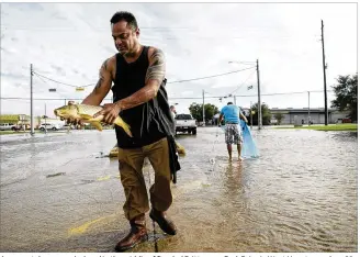  ?? JAY JANNER / AMERICAN-STATESMAN ?? A man catches a carp by hand in the middle of flooded Brittmoore Park Drive in West Houston on Aug. 29 after the Addicks Reservoir overflowed in the wake of Hurricane Harvey. Like the Houston area, Austin faces a combinatio­n of flooding concerns and...