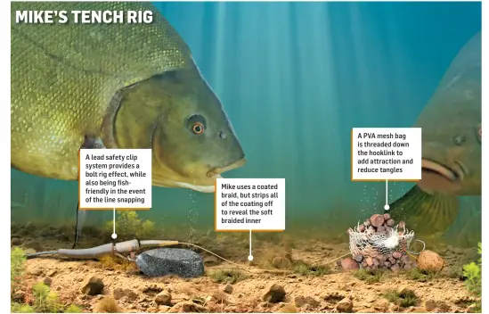  ??  ?? MIKE’S TENCH RIG A lead safety clip system provides a bolt rig effect, while also being fishfriend­ly in the event of the line snapping Mike uses a coated braid, but strips all of the coating off to reveal the soft braided inner A PVA mesh bag is threaded down the hooklink to add attraction and reduce tangles