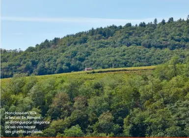  ?? ?? Non classé en 1874, le lieu-dit En Rémont se distingue par l’élégance de ses vins nés sur des granites profonds.