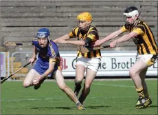  ??  ?? Seán ‘Mini’ Ryan gives Eoghan Fitzgerald and Eoin O’Leary the slip.