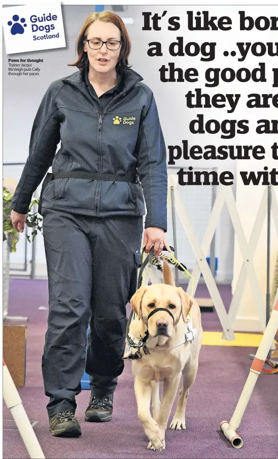  ?? ?? Paws for thought Trainer Jacqui McVeigh puts Cally through her paces