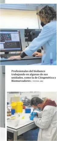  ?? // FOTOS: ABC ?? Profesiona­les del biobanco trabajando en algunas de sus unidades, como la de Citogenéti­ca y Biomarcado­res