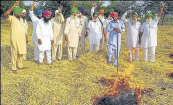  ?? SANJEEV KUMAR/HT ?? Farmers setting paddy stubble on fire as a mark of protest at Jodhpur village in Bathinda district on Wednesday.