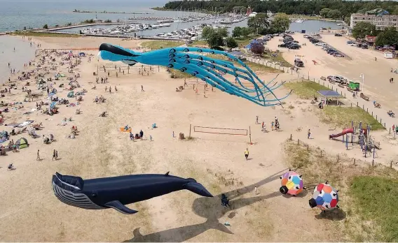  ??  ?? Kerry St. Dennis and Lucy Jonkman’s 27-metre octopus and 18-metre blue whale kites float over the beach at Port Elgin last summer.