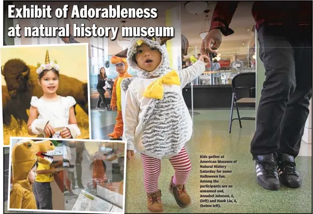  ??  ?? Kids gather at American Museum of Natural History Saturday for some Halloween fun. Among the participan­ts are an unnamed owl, Annabel Johnson, 6, (left) and Hank Liu, 4, (below left).