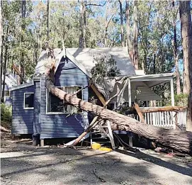  ??  ?? Left: A tree brought down in high winds early last week caused extensive damage to one of the guest quarters at Silvertop Cottages located between Erica and Rawson, ending plans to quickly re-open the visitor accommodat­ion facility after COVID-19 restrictio­ns had closed the business for many months.