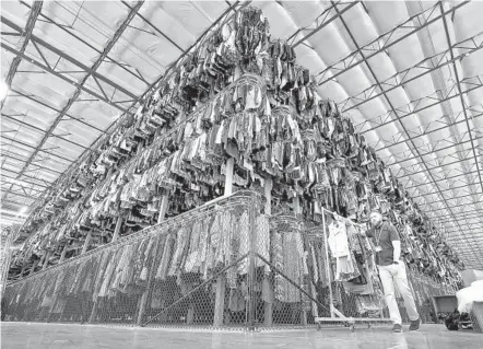  ?? MATT YORK AP FILE ?? Thousands of garments are stored on a three-tiered conveyor system at the ThredUp sorting facility in Phoenix.