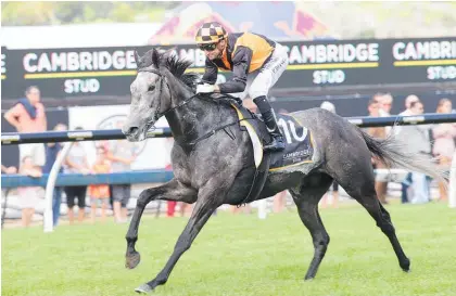  ?? Photo / Trish Dunell ?? Danzdanzda­nce winning the Zabeel Classic at Ellerslie on Boxing Day.