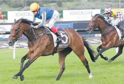  ?? Photo / Trish Dunell ?? Spirits Aubeer wins the group three Bonecrushe­r Stakes at Ellerslie in the hands of Rowena Smyth.
