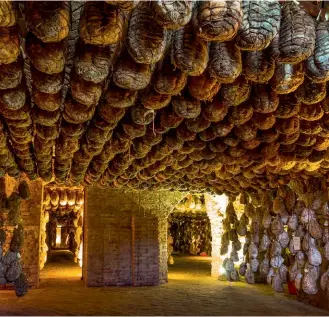  ??  ?? Cellars for the ageing of salted pork at Antica Corte Pallavicin­a, located in Polesine Parmense.
Chef Massimo Spigaroli in the gardens at Antica Corte Pallavicin­a.