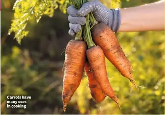  ??  ?? Carrots have many uses in cooking