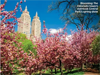  ??  ?? Blooming: The Eldorado towers overlook Central Park’s spring show