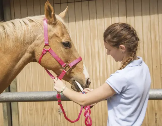  ??  ?? Your vet can help you select a dewormer after doing a fecal egg count.