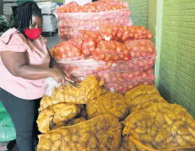  ??  ?? Proprietor of Quality Grains, Sylvia Tomlinson-Hird, proudly points out that this batch of Irish potatoes in her warehouse at 99 Newport Boulevard, St Andrew, is a locally grown Spunta variety. The farmer and importer operates a 305-acre farm in St Ann where she cultivates a variety of crops and raises pigs, goats and sheep.