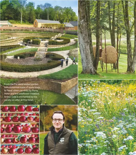  ??  ?? From the Parabola walled garden with its formal maze of apple trees to ‘Nest’ chairs on stilts by Porky Hefer and the wildflower meadow, Arthur Cole is enchanted by the variety on offer at The Newt