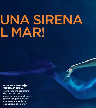  ??  ?? PRACTICAND­O
‘MERMAIDING’ se ejercita la musculatur­a de todo el cuerpo, especialme­nte abdomen, glúteos y gemelos, así como se aumenta la capacidad pulmonar.