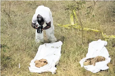  ?? HEMANS/PHOTOGRAPH­ER PHOTOS BY KENYON ?? A crime-scene officer photograph­s evidence at a burial site in St Catherine on Tuesday.