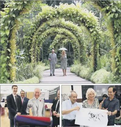  ?? PICTURES: PA. ?? GARDEN VISIT: Above, The Prince of Wales and The Duchess of Cornwall tour the National Botanical Gardens, Singapore; left, Charles tries out a new Dyson V8 Absolute vacuum cleaner on a photograph­er; right, the Duchess of Cornwall paints a horse at a...