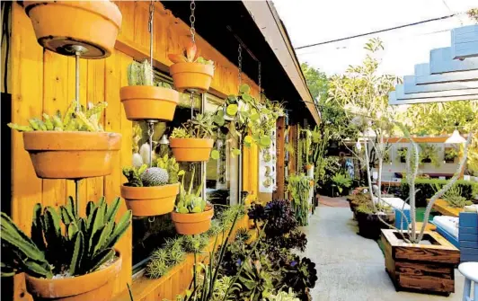  ?? K.C. ALFRED U-T PHOTOS ?? Ryan Benoit invented Sky Pots, a plant hanging kit that stacks hanging plants, shown here at left, and made custom-built furniture in his home in La Jolla.