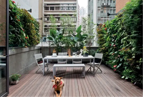  ??  ?? ANIMAL KINGDOM The living area is the epitome of an urban oasis – interiors meld seamlessly with the terrace, which is surrounded by vertical gardens and clad in teak; their dog Pretzel and cat Tofu love lounging in this airy...